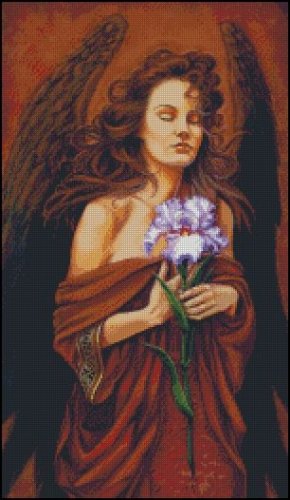 (image for) Iris